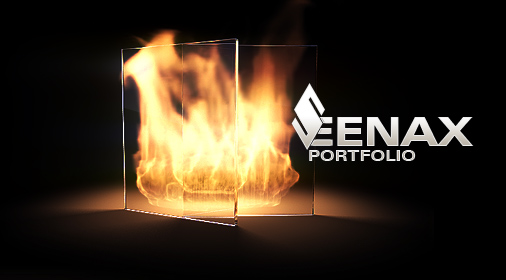 SEENAX PORTFOLIO