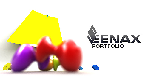 SEENAX PORTFOLIO